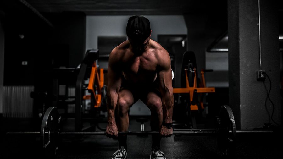 Muscle Building